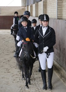 Hoftunier Stall Tunxdorf 2016 034