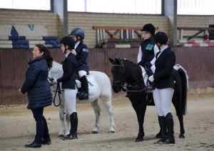 Hoftunier Stall Tunxdorf 2016 070